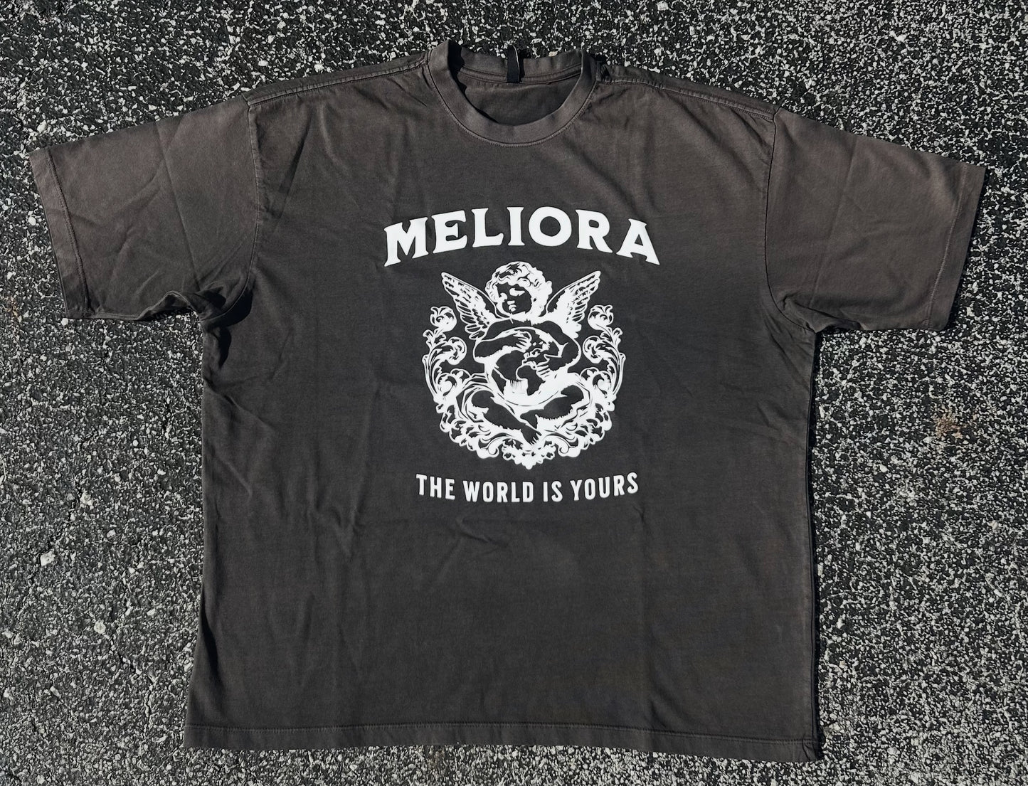 MELIORA WORLD IS YOURS GRADIENT TEE