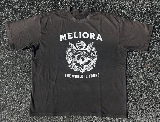 MELIORA WORLD IS YOURS GRADIENT TEE