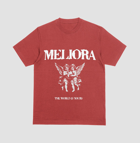 MELIORA WORLD IS YOURS GARMENT DYED TEE
