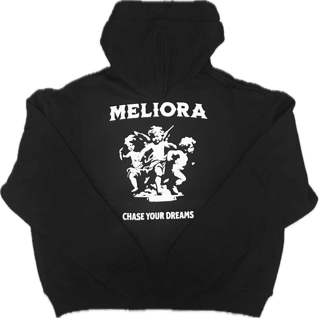 MELIORA CHASE YOUR DREAMS CARPENTER HOODIE