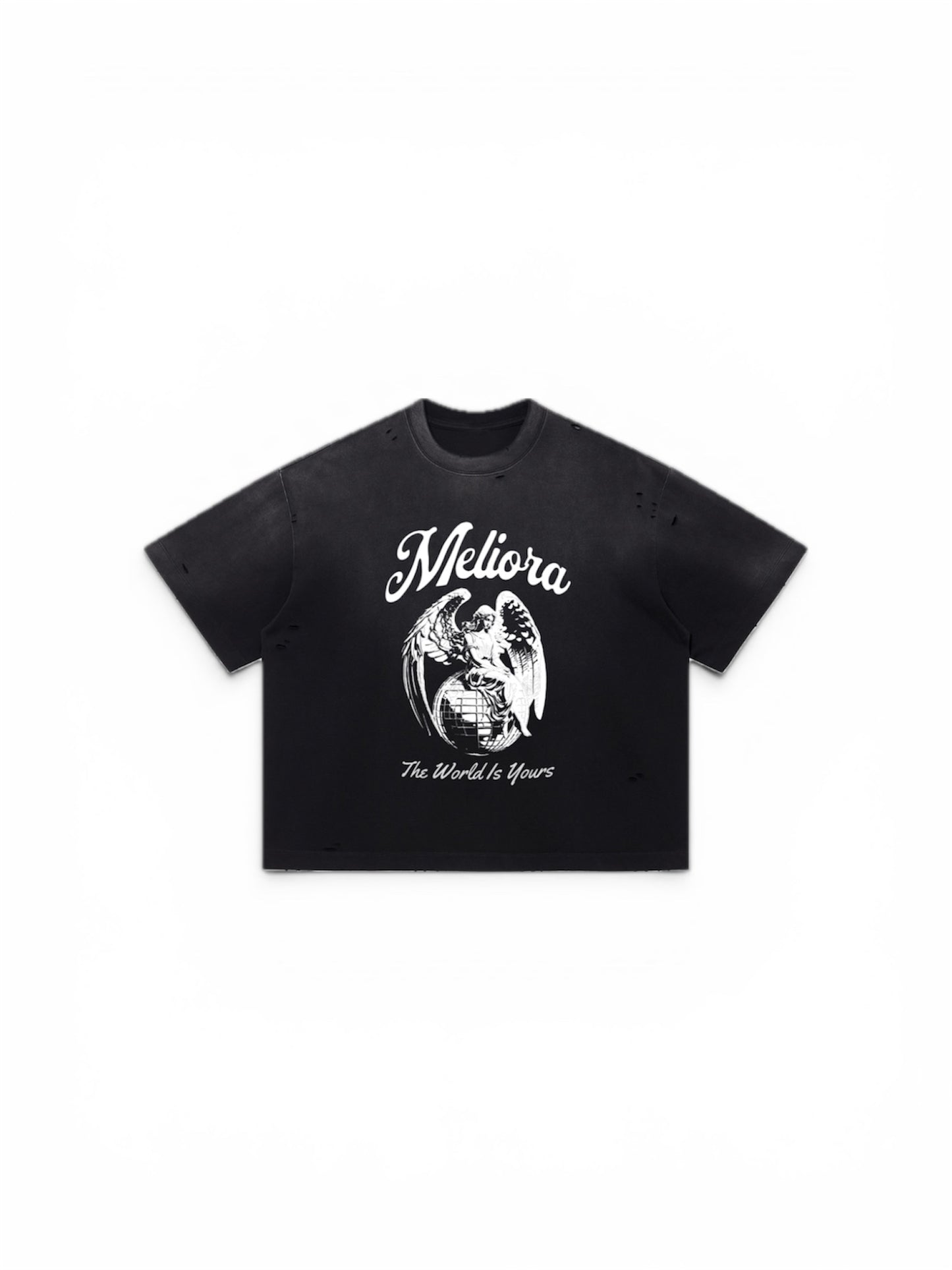 MELIORA WORLD IS YOURS DISTRESSED TEE