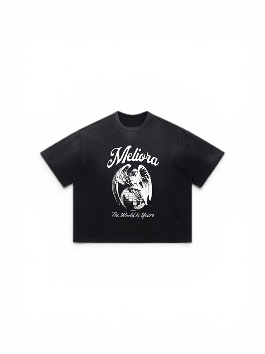 MELIORA WORLD IS YOURS DISTRESSED TEE